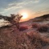 محمد بن هاشم (8812) 的头像
