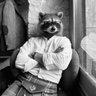 Scotty Raccoon Gold Trading Journal's profile picture