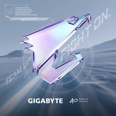 AORUS_DE's profile picture