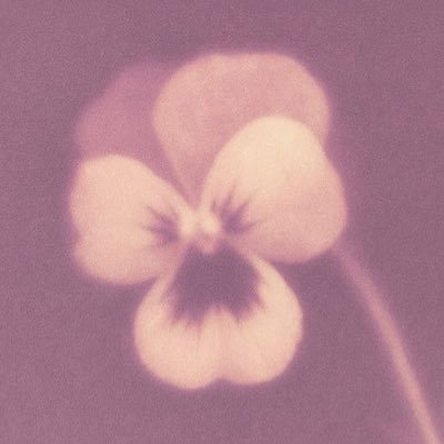aury 𖠋's profile picture