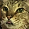 fernando's profile picture