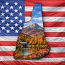 NH patriot Laura 的头像
