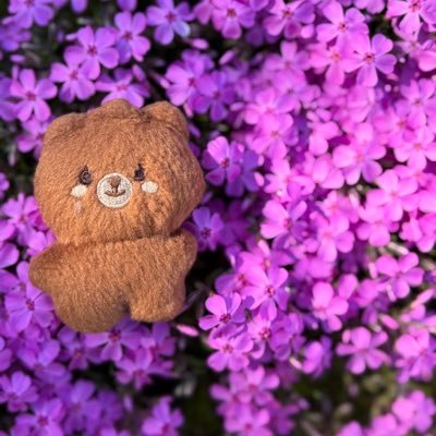 psjera's profile picture