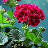 Shri.shriram M.S.'s profile picture