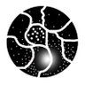 Wanten's profile picture