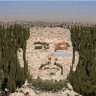 Profilbild von خليل اللاعي/حساب ناقد ساخر