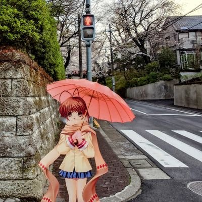 🍡ひたひたluciaでっかいおむすびですねっ🪽あんパンっ🍓♛🐻🥾📖🍕's profile picture