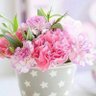 سحاب الخير.🌸's profile picture