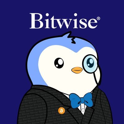 Bitwise's profile picture