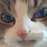Profilbild von Cozy