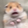 Profilbild von Heiam