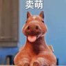 Фото профиля 彳魚亍