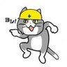 ベーシスト猫坂's profile picture