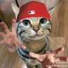Profilbild von Dylan