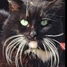 @Azoriss.'s profile picture