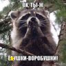 Mikhail Burov's profile picture