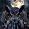 Profilbild von Publius