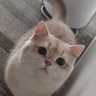 Lorraine's profile picture