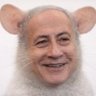 Фото профиля BiBiMouse