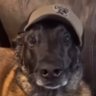 Profilbild von Bosta Mijo