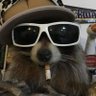 TheRagePage's profile picture