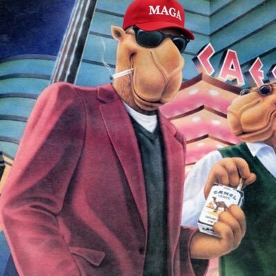 Cash_Nicholson's profile picture