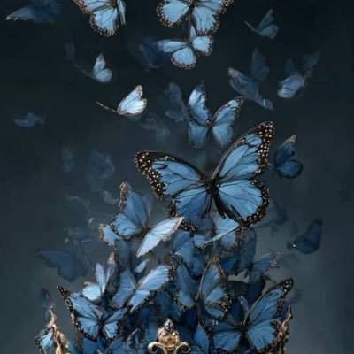 الهنوف💙's profile picture
