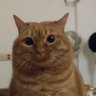 matuca profil fotoğrafı