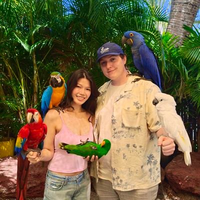 Pznguin's profile picture