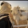 Profilbild von المخضرم