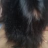 Zzz Xi's profile picture