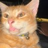 Diego's profile picture