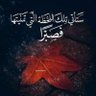 ابن آدم 的头像
