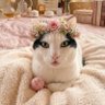 もなか's profile picture
