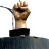 Syed naveed's profile picture