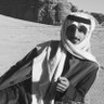 هيثم الأذيني 的头像