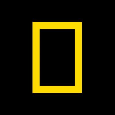 natgeotv_jp's profile picture