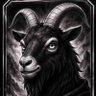 Zaithyn profil fotoğrafı
