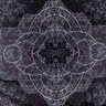 the machine god at the end of time 的头像
