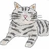 Introverted Cat Dad's profile picture
