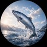 鲑鱼哥 |Salmon Bro 🐟 profil fotoğrafı