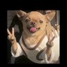 ULTRA BRO ๐ง๐ชโก's profile picture