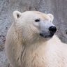 Profilbild von さとぱん