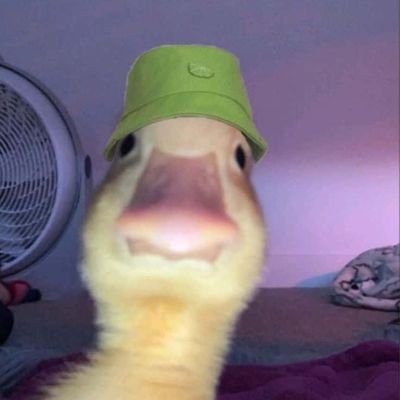 Stream Lockdown's profile picture