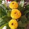 Фото профиля Montaser Abdo