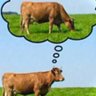. profil fotoğrafı