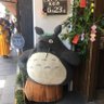 Фото профиля わたわたわた