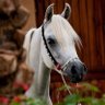 Фото профиля يامن