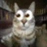 Profilbild von Anonim_smartbro