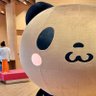 リポストする人 的头像